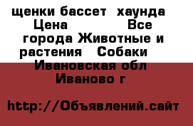 щенки бассет- хаунда › Цена ­ 20 000 - Все города Животные и растения » Собаки   . Ивановская обл.,Иваново г.